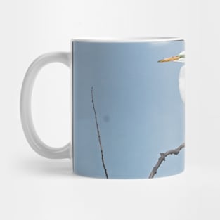 Great Egret / Great White Heron Sitting On a Tree Branch Mug